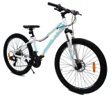 rower-gorski-xc-260-lady