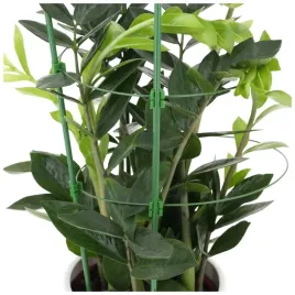 podpora-do-roslin-stojak-do-kwiatow-pnacych-zielona-obejma-podporka-60cm