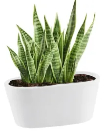 doniczka-ceramiczna-rynna-biala-ozdobna-na-kwiaty-17-cm