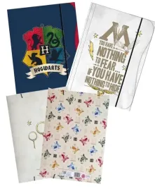 teczka-z-gumka-a4-harry-potter-beniamin