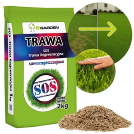 trawa-renowacyjna-regeneracyjna-sos-nasiona-trawy-na-dosiewke-2kg-80m2