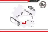 przewod-turbo-typ-samochodu-autobusy-samochody-dostawcze