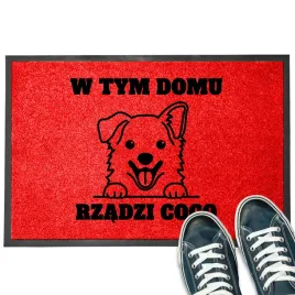 wycieraczka-wejsciowa-pod-drzwi-w-tym-domu-rzadzi-imie-styl-czystosc-wzor
