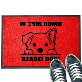 wycieraczka-wejsciowa-pod-drzwi-w-tym-domu-rzadzi-imie-czystosc-solidna-wz