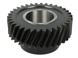 kolo-zebate-walka-glownego-145989