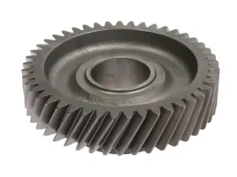 kolo-zebate-walka-glownego-145966