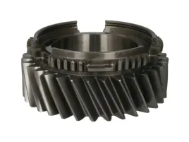 kolo-zebate-walka-glownego-145971