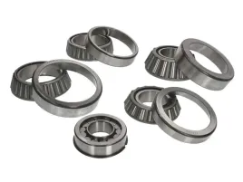 zestaw-naprawczy-mechanizmu-roznicowego-298350