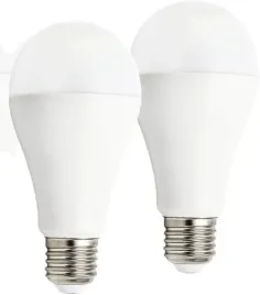 2x-zarowka-led-20w-6500k-zimna-biel-2500-lm-z-gwintem-e27-niesciemnialna