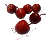 jablka-pinezki-do-tablic-korkowych-stan-nowy