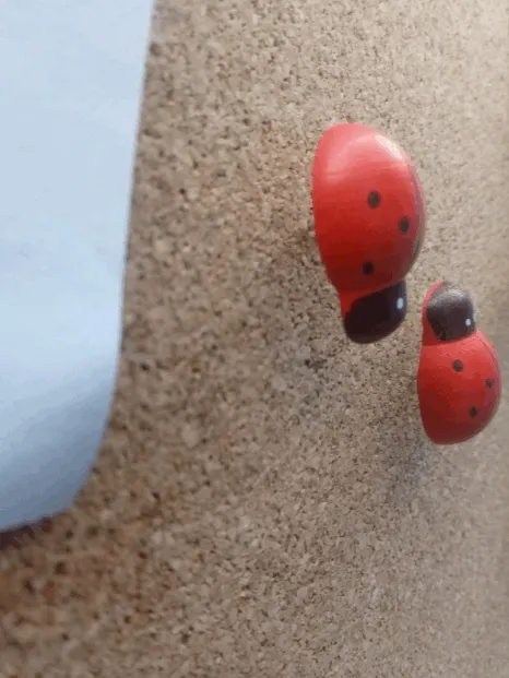 biedronki-pinezki-do-tablic-korkowych