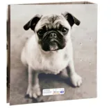 segregator-na-2-ringi-a-4-grubosc-7-cm-wzor-pies-stan-nowy