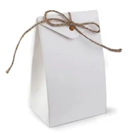 torebka-pudelko-ze-sznurkiem-75-x-12-x-55-cm