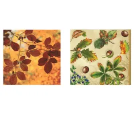 jesienne-serwetki-na-sztuki-decoupage