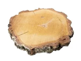 duzy-plaster-brzozy-podkladka-24-28-cm