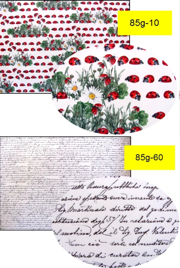 papier-decoupage-marpa-jansen-85g