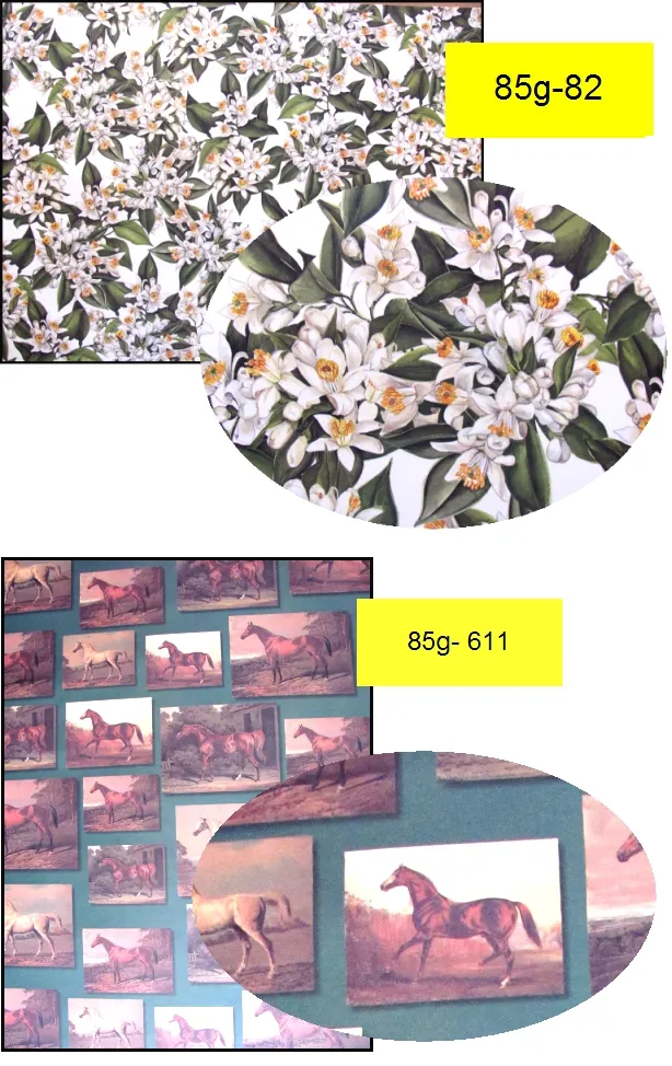 papier-decoupage-marpa-jansen-85g