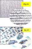 papier-decoupage-marpa-jansen-85g-stan-nowy-okazje-brak