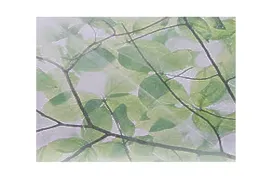 karton-party-12-wzorow-dwustronny