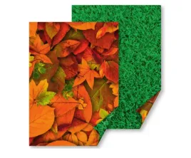 karton-natura-50-x-70-300g