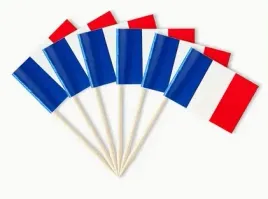 wykalaczki-mini-flagi-francji-10-sztuk