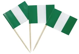 wykalaczki-mini-flagi-nigerii-10-sztuk