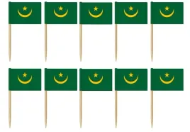 wykalaczki-mini-flagi-mauretanii-10-sztuk