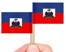 wykalaczki-mini-flagi-haiti-10-sztuk