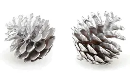 srebrne-szyszki-5-sztuk