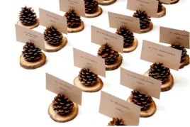 podstawki-z-szyszek-i-brzozy-na-winietki-jaropap