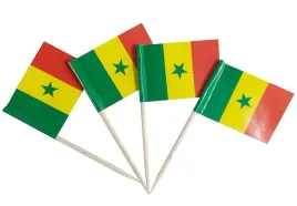wykalaczki-mini-flagi-senegalu-10-sztuk