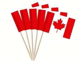 wykalaczki-mini-flagi-kanady-10-sztuk