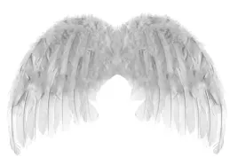 male-skrzydla-aniola-48-x-28-cm