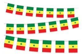 senegal-girlanda-z-flagami-senegalu