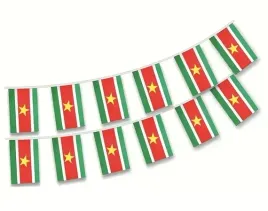 surinam-girlanda-z-flagami-surinamu