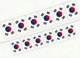 korea-pld-girlanda-z-flagami-korei-pld