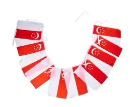 singapur-girlanda-z-flagami-singapuru