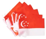 singapur-girlanda-z-flagami-singapuru-dlugosc-600-cm