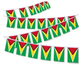 gujana-girlanda-z-flagami-gujany