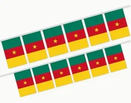 kamerun-girlanda-z-flagami-kamerunu