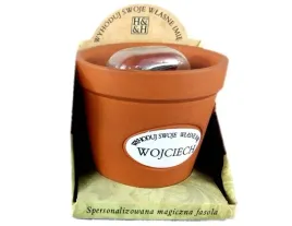 magiczna-fasolka-wyhoduj-swoje-imie