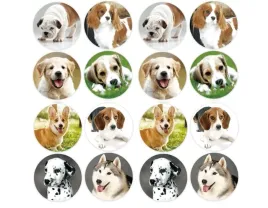 naklejki-16-kolek-wzory