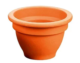 nowy-ksztalt-doniczki-dzwoneczki-wysokosc-6-cm