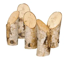 kolki-brzozowe-skosne-10-sztuk