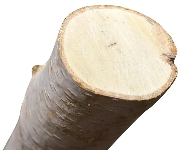 drazki-brzozowe-40-cm-6-sztuk-marka-jaropap