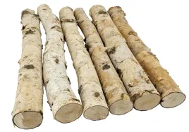 drazki-brzozowe-30-cm-6-sztuk