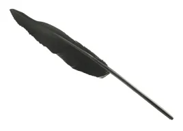 czarne-dlugie-pioro-gesie