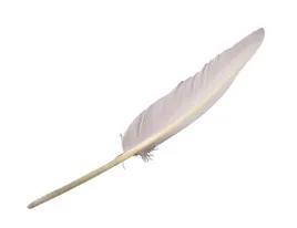 dlugie-pioro-gesie-biale