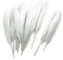 piora-gesie-metaliczne