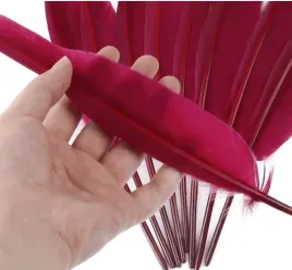 bordowe-dlugie-pioro-gesie-30-35-cm